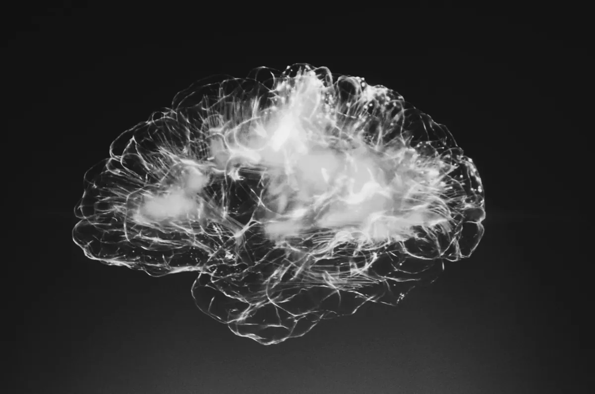 alina-grubnyak-tEVGmMaPFXk-unsplash-1-ue neuro scienze